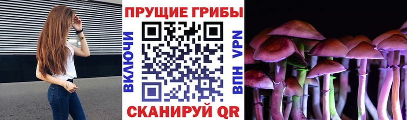 Галлюциногенные грибы Magic Shrooms  закладки  Тара 