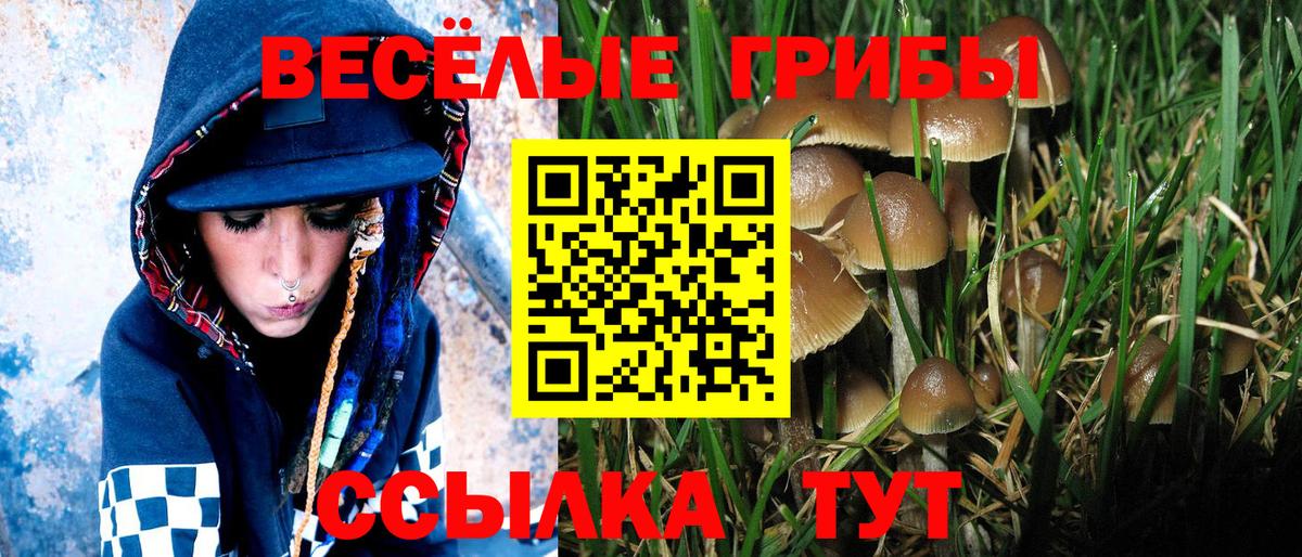 Галлюциногенные грибы мицелий Тара