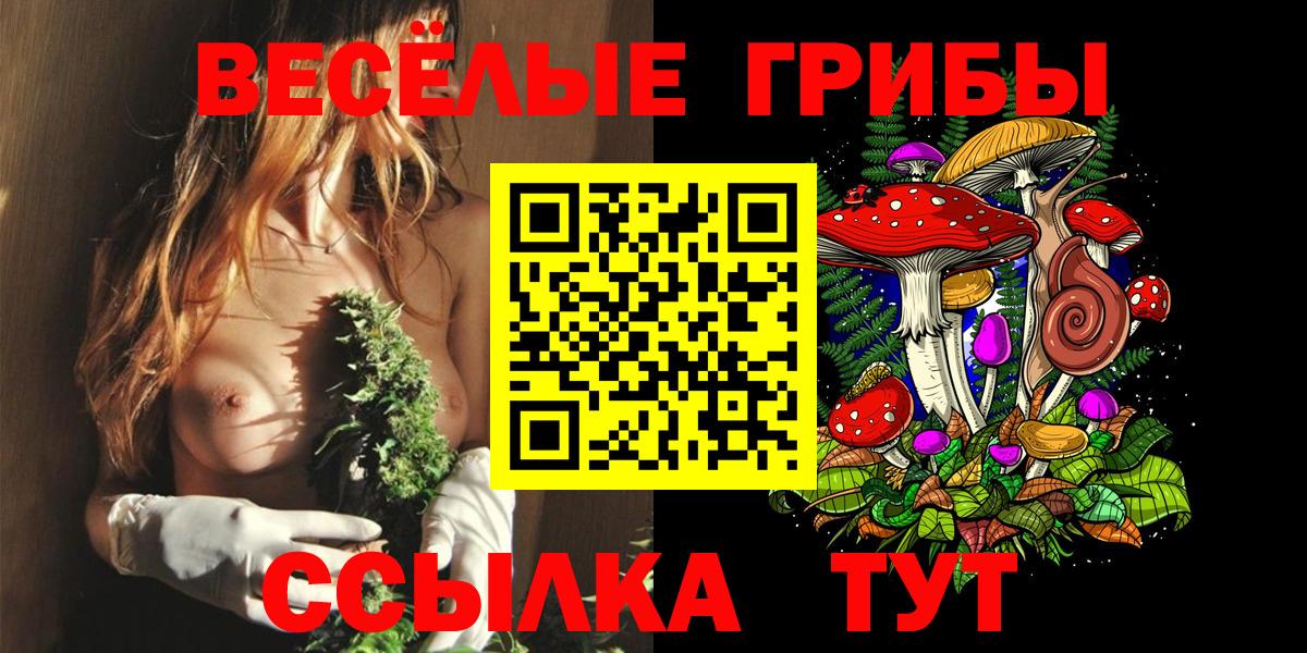 Псилоцибиновые грибы Psilocybine cubensis Тара