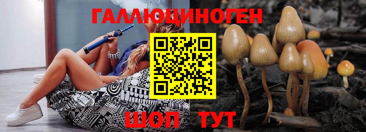 Псилоцибиновые грибы MAGIC MUSHROOMS  Вход с VPN  Тара 