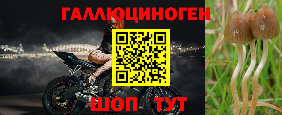 купить наркотики сайты  Тара  Галлюциногенные грибы прущие грибы 